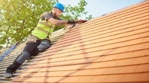 Best Roof Moss and Algae Removal  in Lakeland, GA